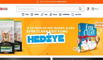 Kedi Mama ve Su Kapları: Otomatik, Metal ve Seramik Modellerle Fark Oluşturun